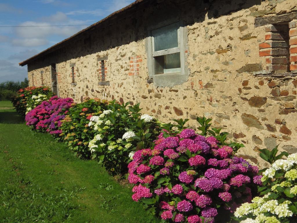 A La Haute Bouillere Panzió Chavagnes-les-Redoux Kültér fotó