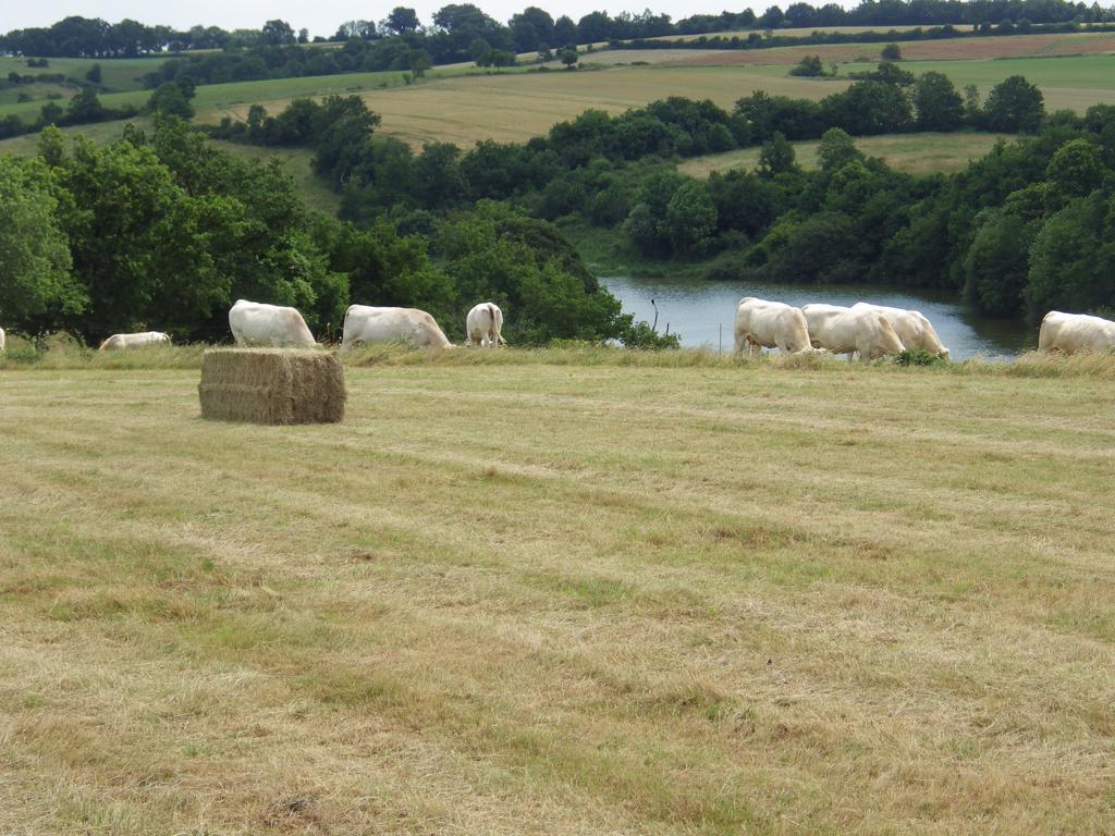 A La Haute Bouillere Panzió Chavagnes-les-Redoux Kültér fotó