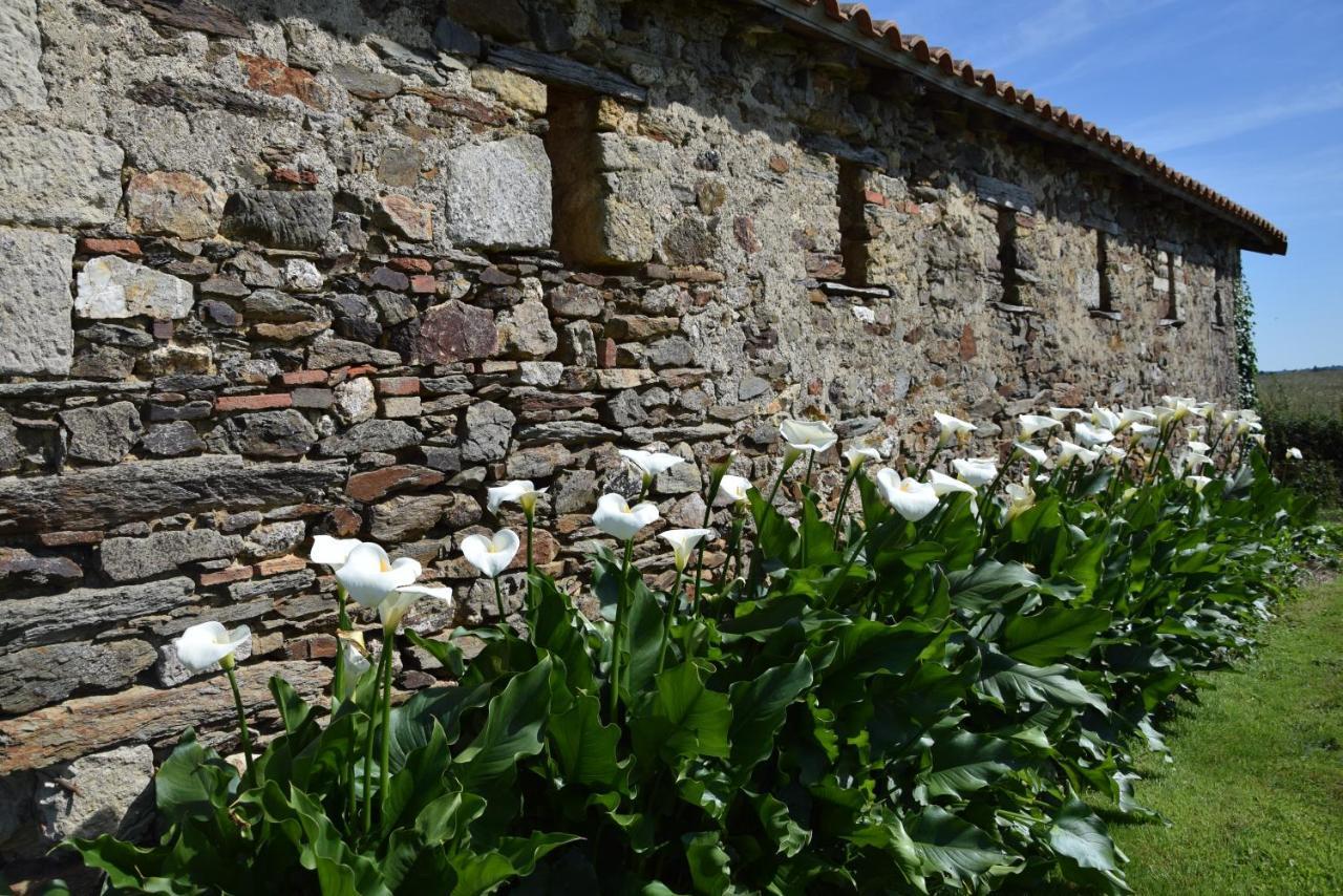 A La Haute Bouillere Panzió Chavagnes-les-Redoux Kültér fotó